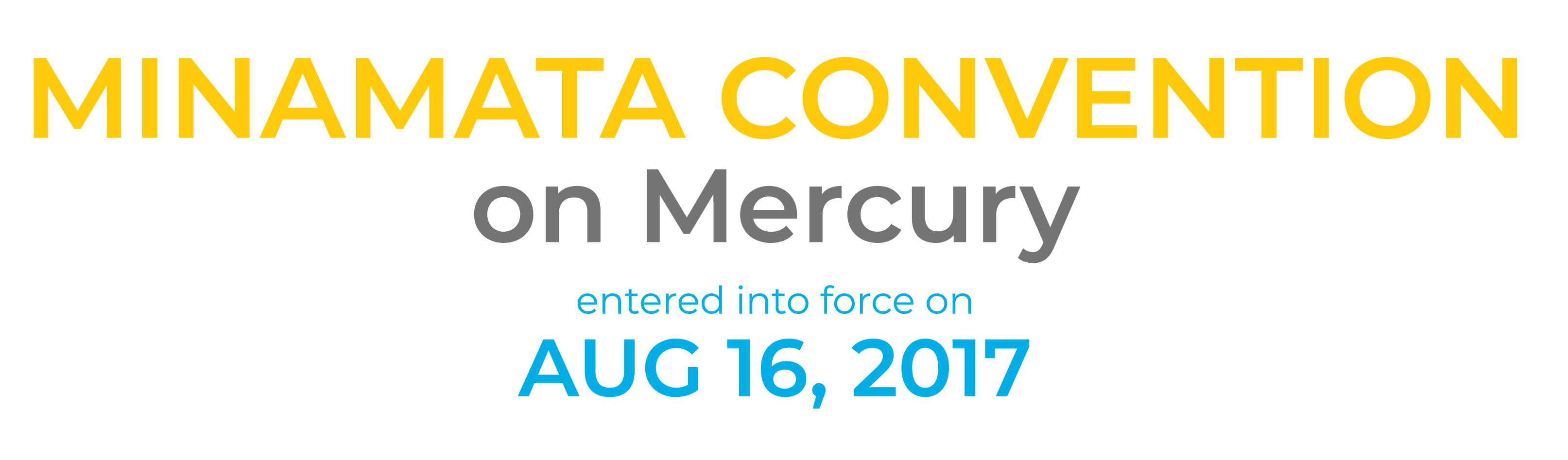 Minamata Convention on Mercury