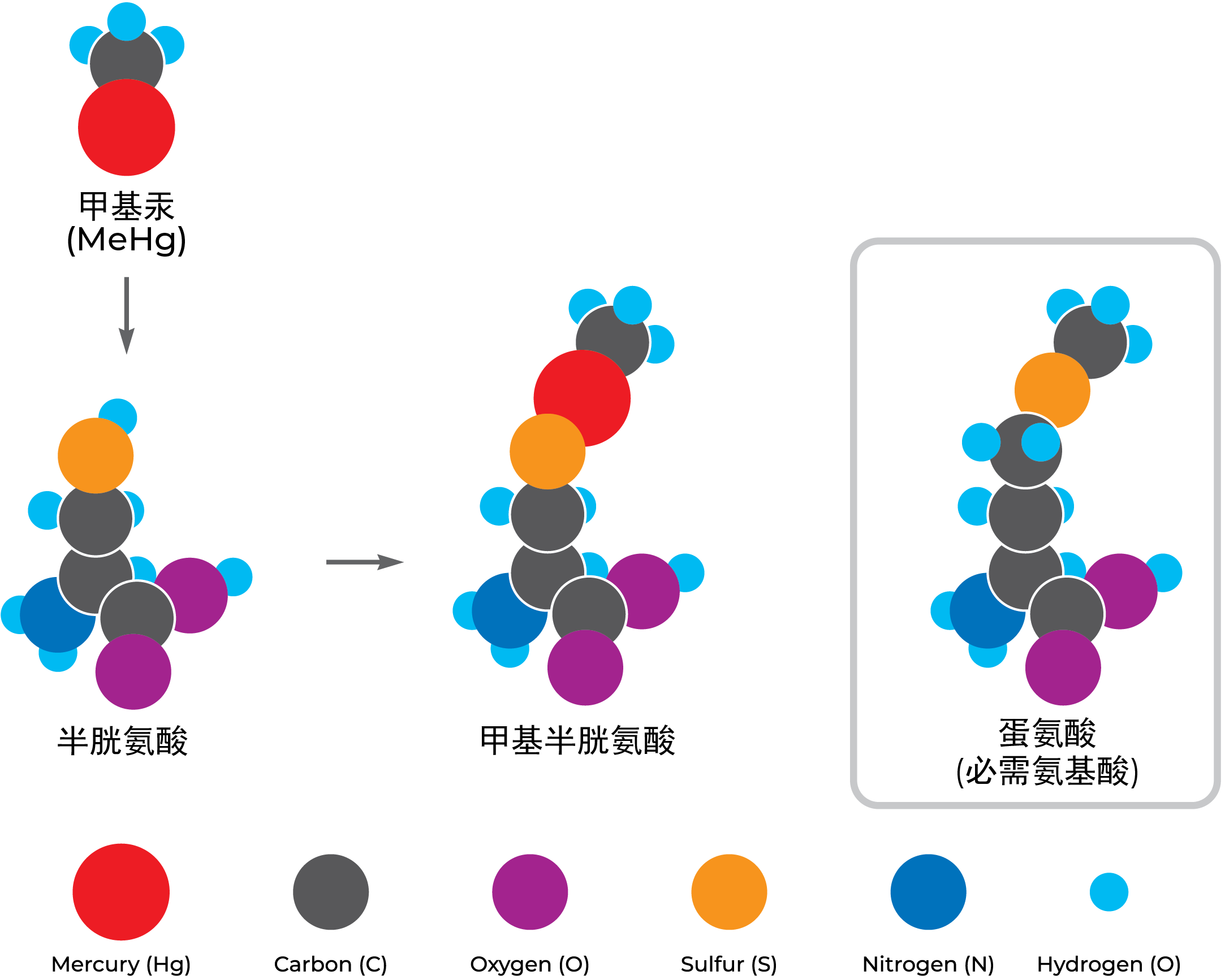 Modified NIMD Material